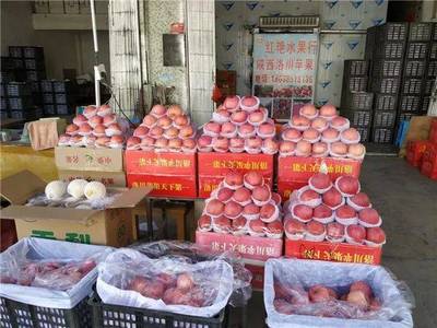 南郊三公里水果批发市场即将搬迁 水果批发商却说.